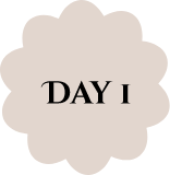 Day 1